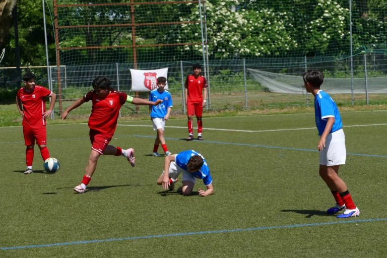 Instagram post from fcturkspormannheimjugend. This post is in position 3.