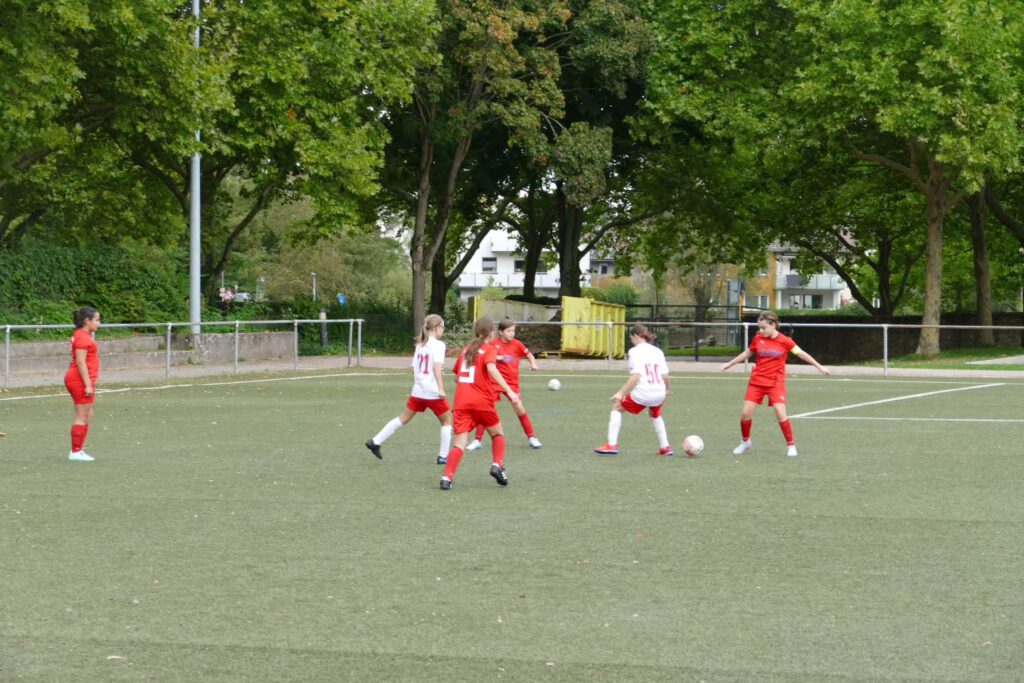Instagram post from fcturkspormannheimjugend. This post is in position 2.
