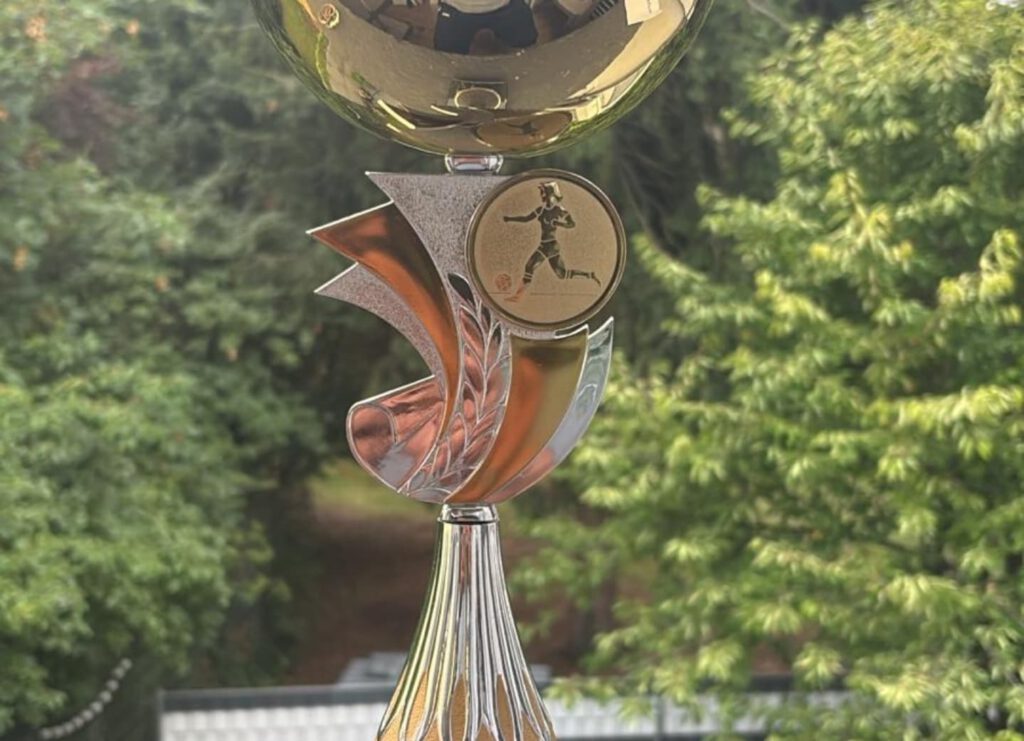 Instagram post from fcturkspormannheimjugend. This post is in position 1.